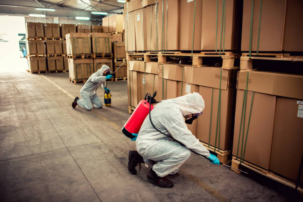 Best Termite Control Services  in Spring Lake Park, MN